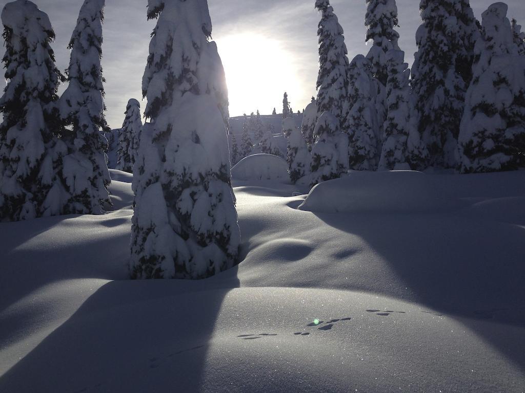 Alpenresort Belvedere مولفينو المظهر الخارجي الصورة